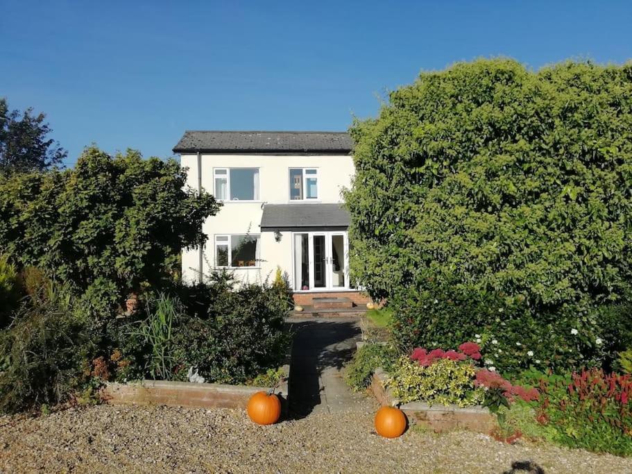 Country Home With Gardens Newtown  Exterior photo