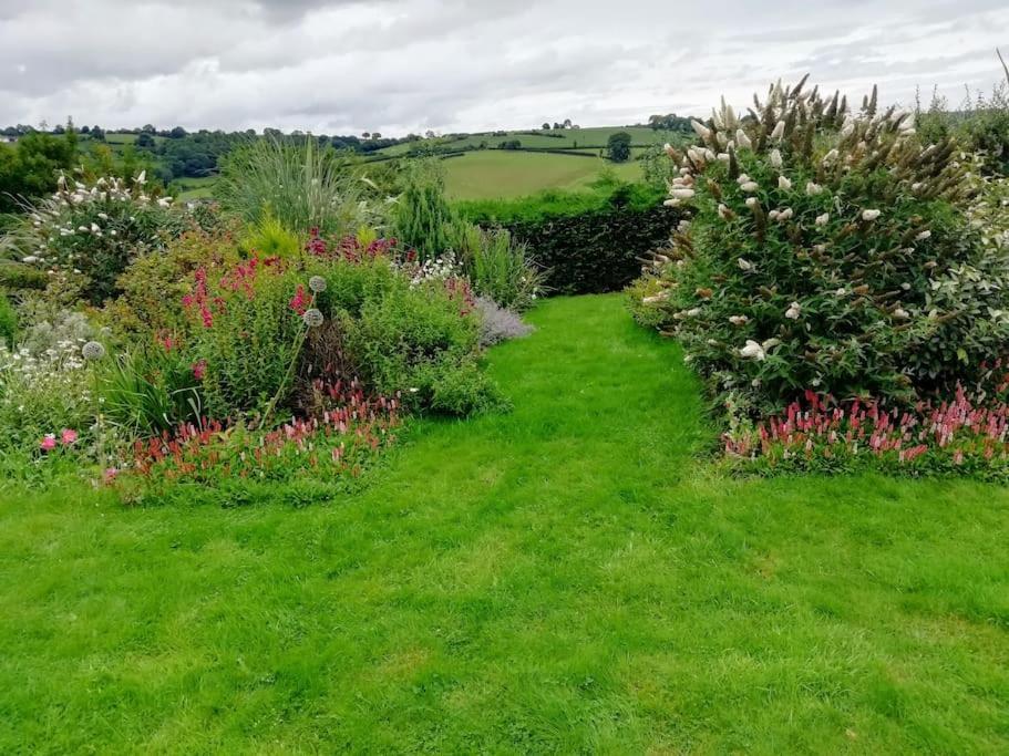 Country Home With Gardens Newtown  Exterior photo