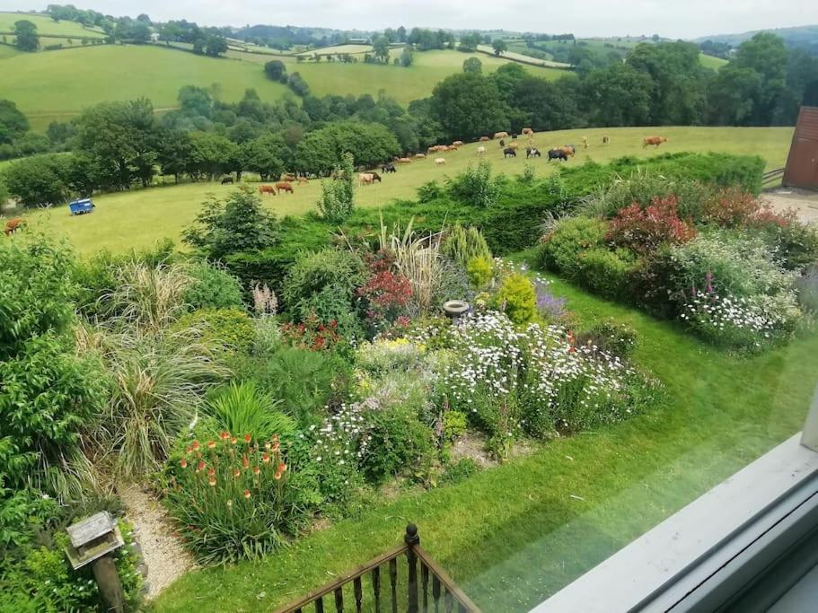 Country Home With Gardens Newtown  Exterior photo