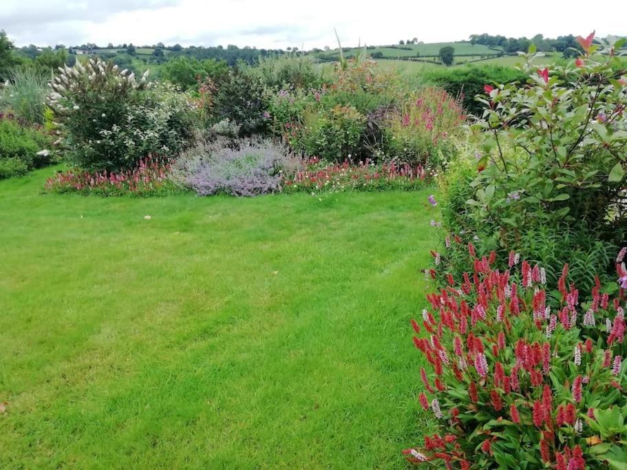 Country Home With Gardens Newtown  Exterior photo